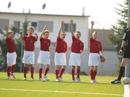 fonix.99.graz.2010.03.21.125