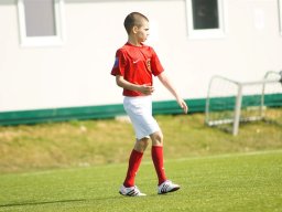 fonix.99.graz.2010.03.21.130