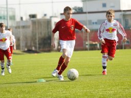fonix.99.graz.2010.03.21.191