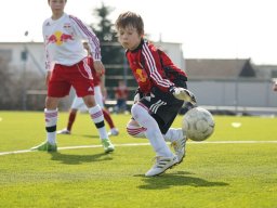 fonix.99.graz.2010.03.21.212