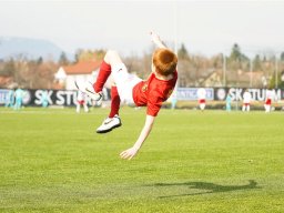 fonix.99.graz.2010.03.21.296