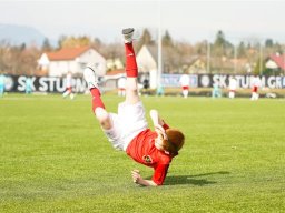 fonix.99.graz.2010.03.21.297