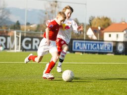 fonix.99.graz.2010.03.21.426