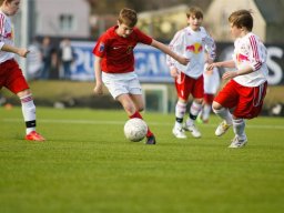 fonix.99.graz.2010.03.21.460