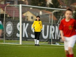 fonix.99.graz.2010.03.21.494