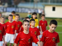 fonix.99.graz.2010.03.21.723