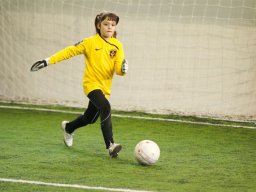 V. Főnix Kupa 2001-es